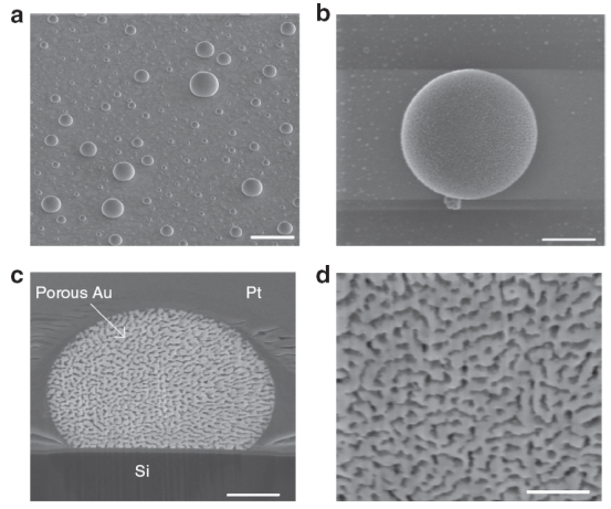 东兴证券-新技术前瞻专题系列（四）：超材料（Metamaterial）行业研究框架-241028