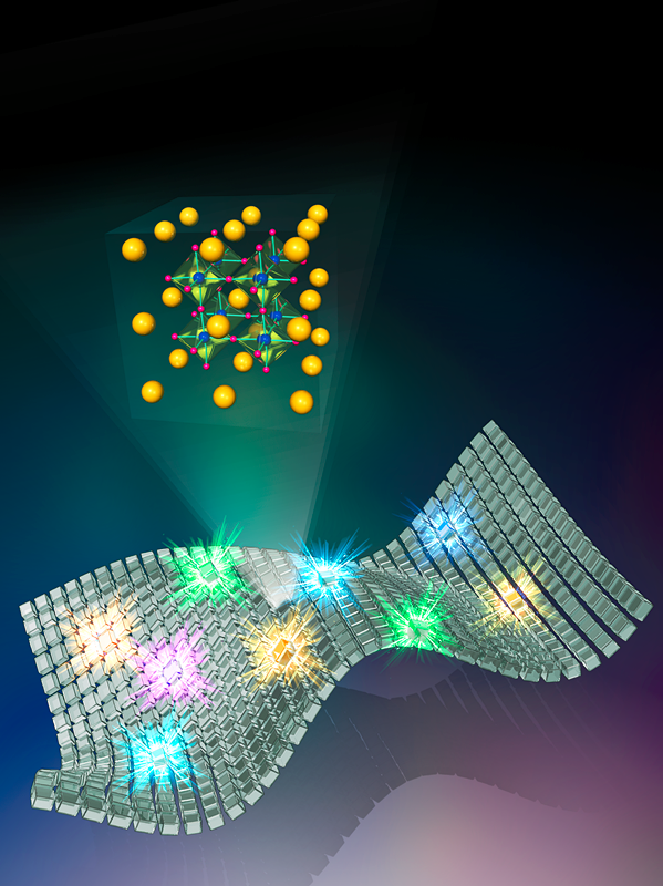 队记剖判：客岁次轮新秀与布朗尼签定形似合同，来日潜力可期(布朗尼选秀排名)