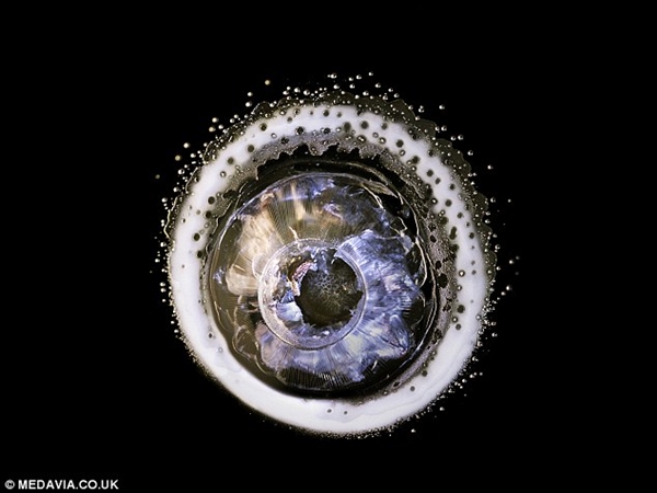 敢进来看看吗?子弹爆射树脂玻璃