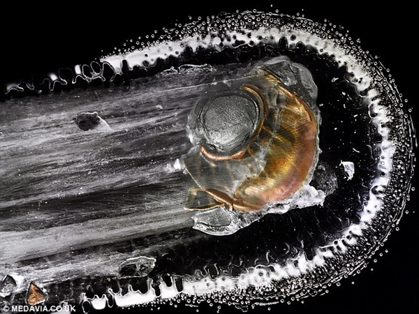 敢进来看看吗?子弹爆射树脂玻璃