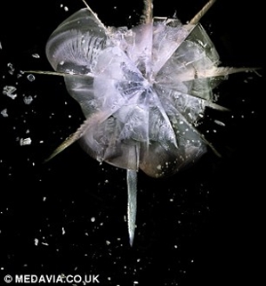 敢进来看看吗?子弹爆射树脂玻璃