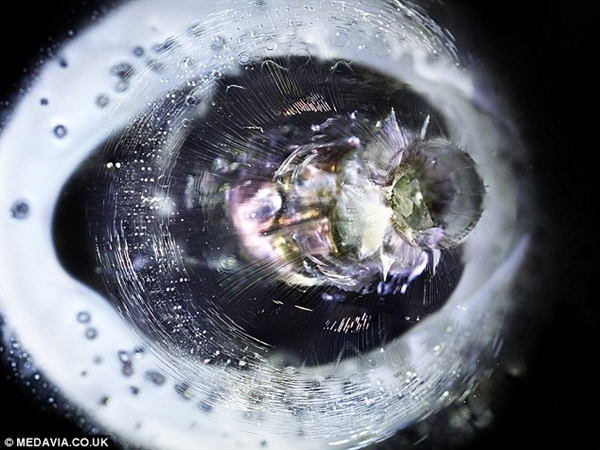 敢进来看看吗？子弹爆射树脂玻璃