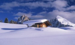 Green Living Image Gallery