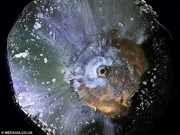 敢进来看看吗？子弹爆射树脂玻璃