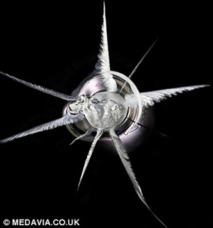 敢进来看看吗？子弹爆射树脂玻璃