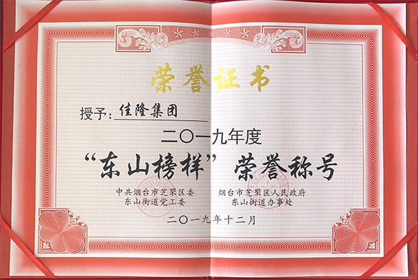 佳隆集团被授予二〇一九年度“东山榜样”荣誉称号