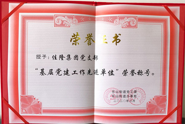 佳隆集团党支部被授予2019年“基层党建工作先进单位”